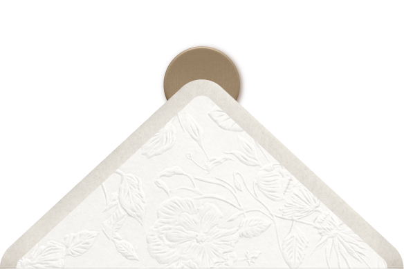 Flap atrás